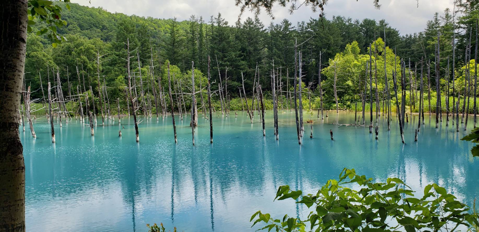 美瑛の青い湖