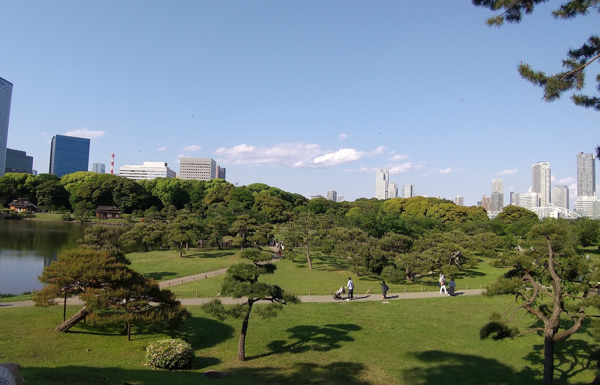 浜離宮恩賜庭園