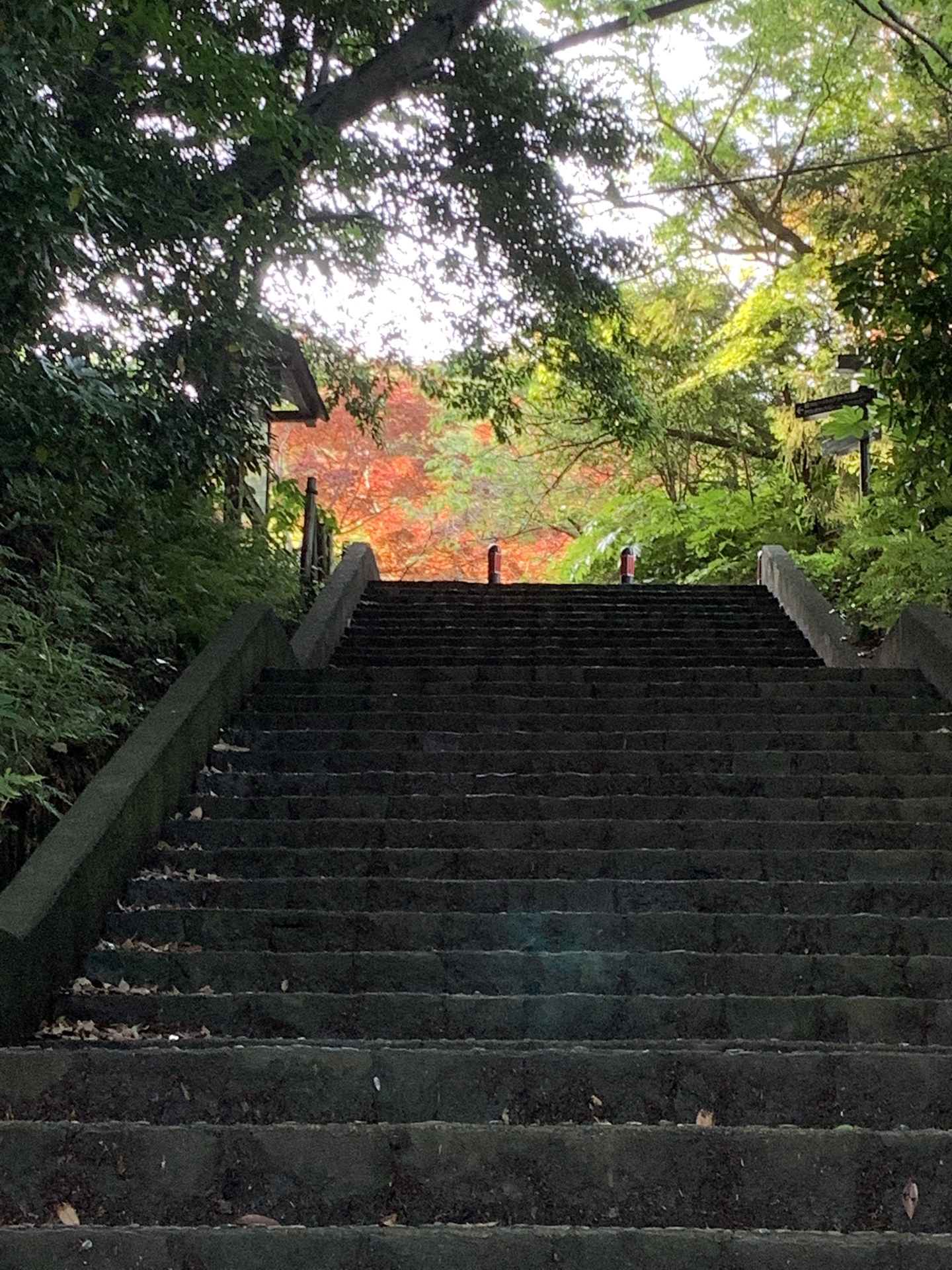 源氏山公園