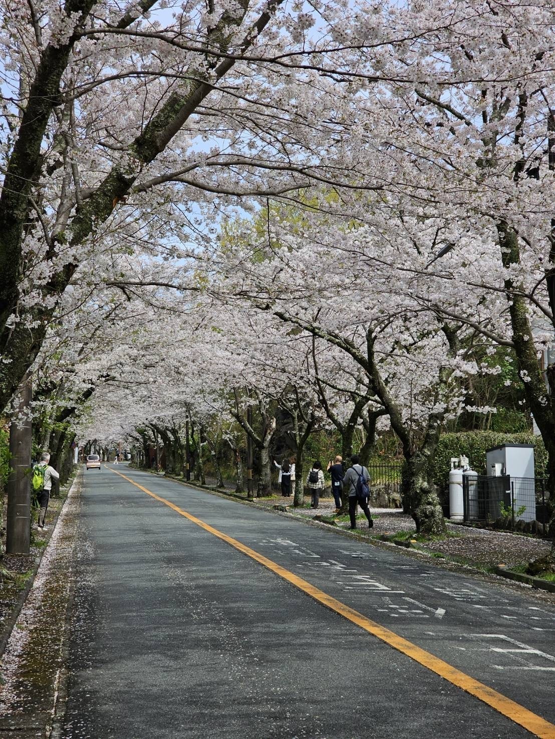 伊豆の旅