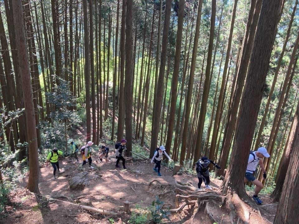 ゼーハー登りは忍の字で