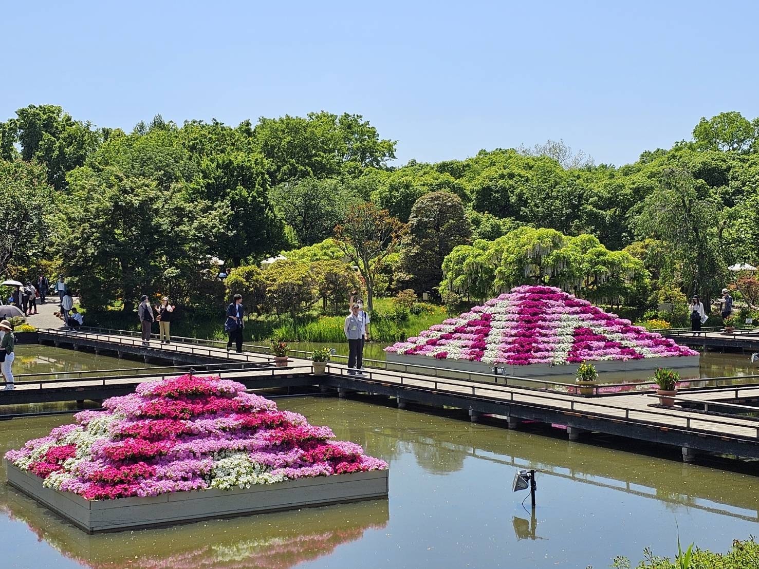 （サフィニアの花壇）